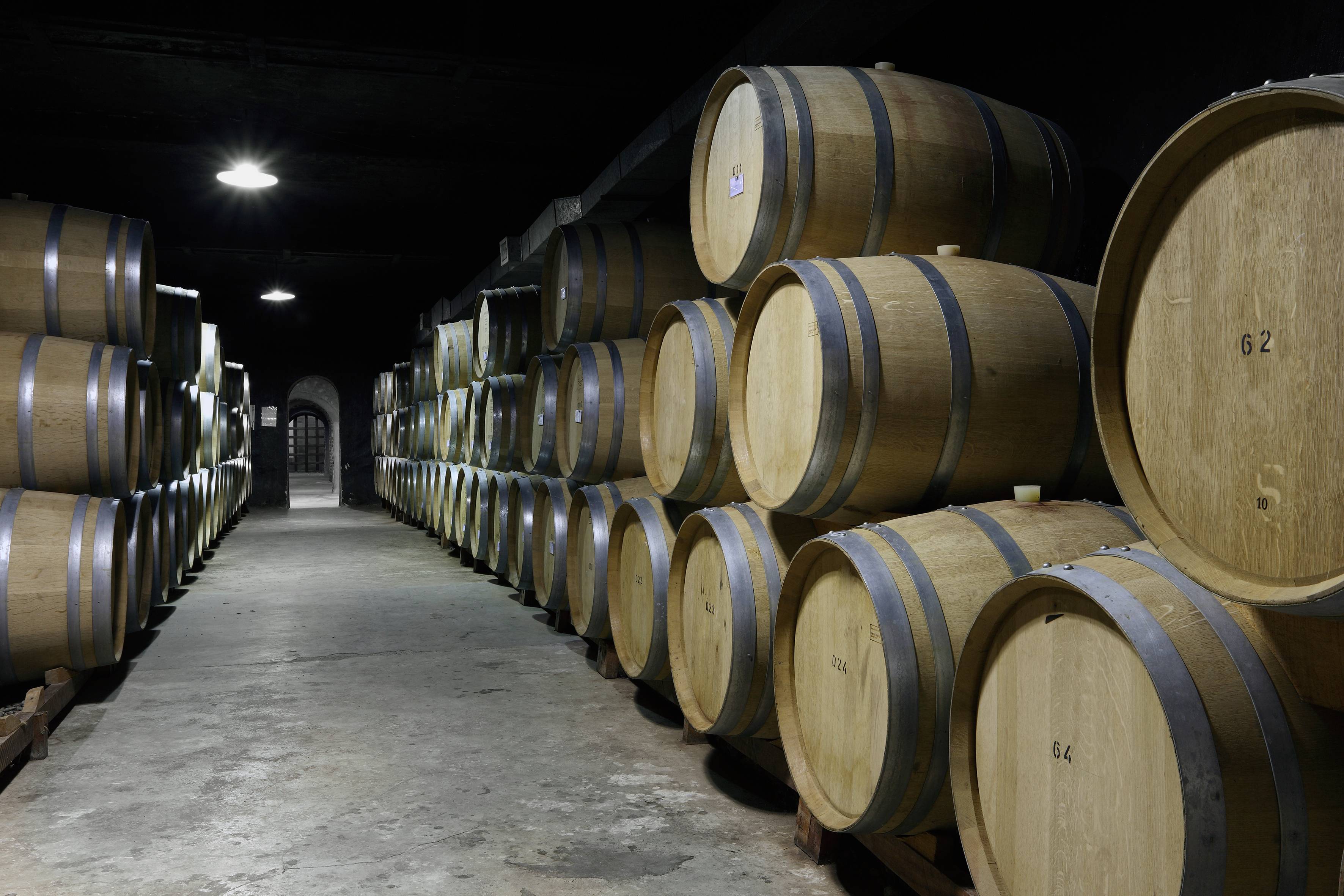 Shreyas Group: A Leading Spirits Manufacturing Company